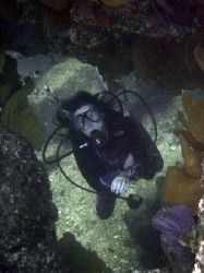 This photo was taken in Baja California's Sea of Cortez, ... by Ash Pickering 